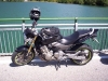 HORNET 600 DEL 2005